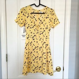 Aritzia Sunday Best Cher Dress NWT